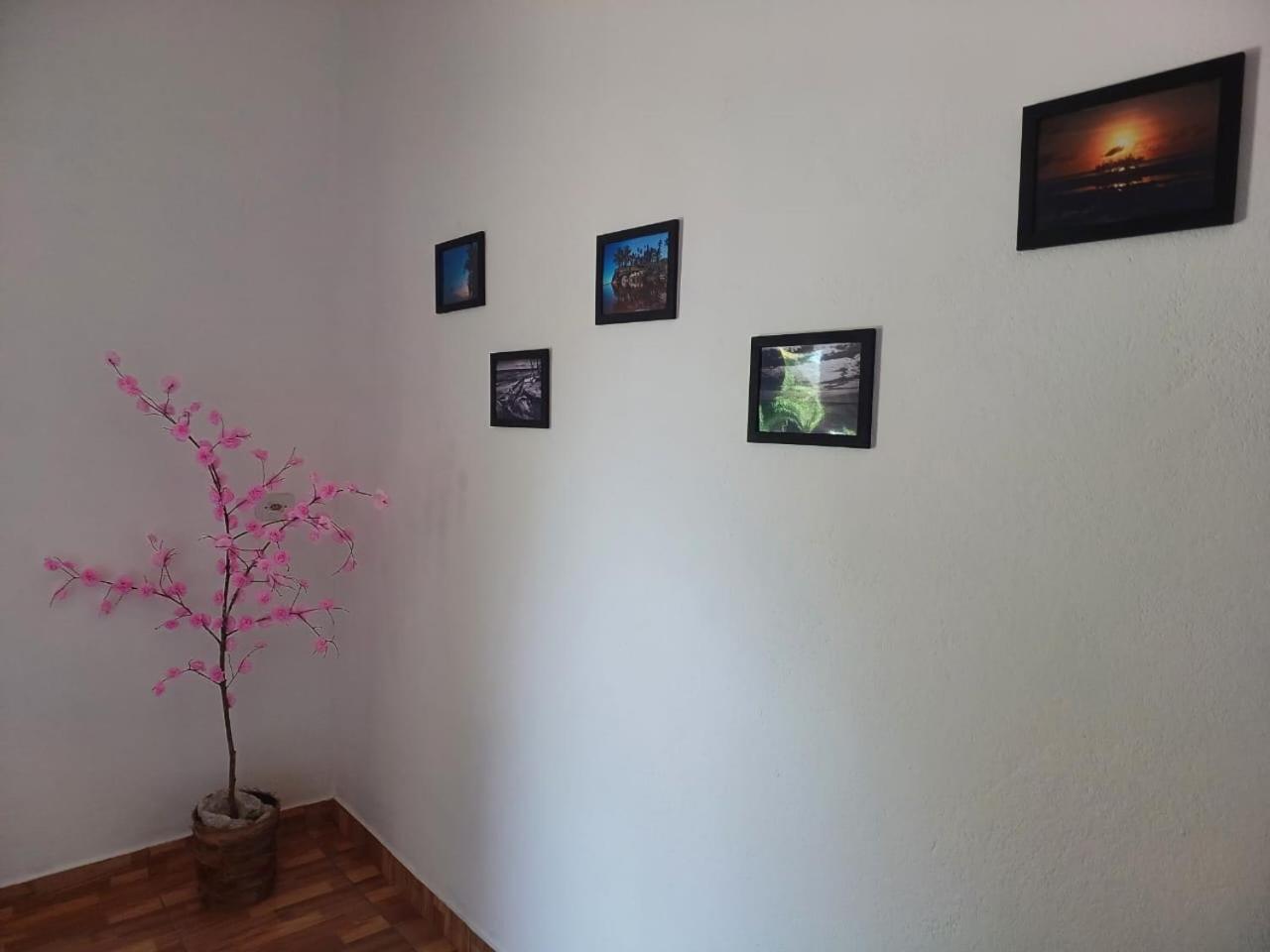 Casa Jubarte Villa Cumuruxatiba Kültér fotó